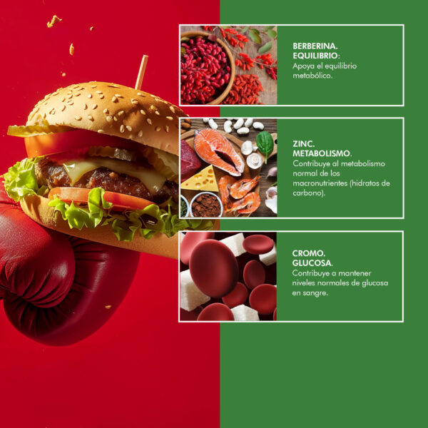 SUP Berberina 30 Cápsulas -  Regulador de Glucosa, Colesterol y Peso | Antioxidante Natural - additional image 4